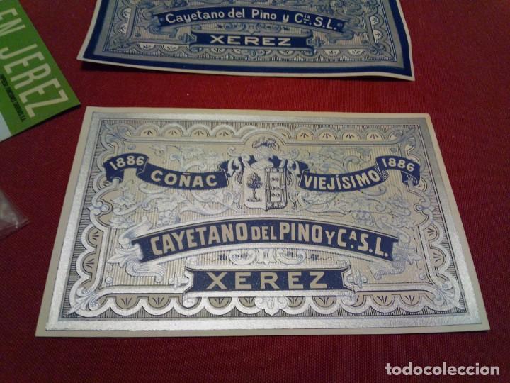 Etiquetas antiguas: Antigua etiqueta co&ntilde;ac jerez Cayetano del pino