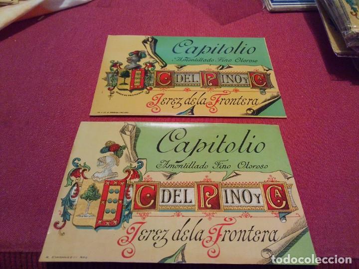 Etiquetas antiguas: Lote de dos etiquetas diferentes Cayetano del pino jerez