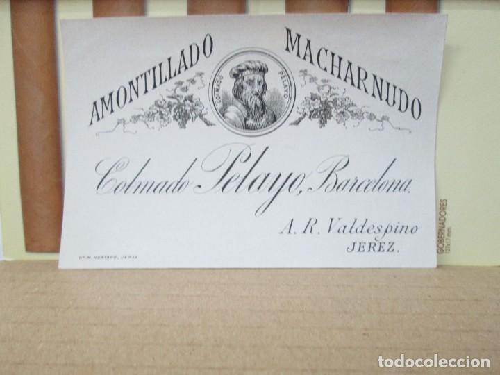 Etiquetas antigas: ANTIGUA ETIQUETA, AMONTILLADO MACHARNUDO