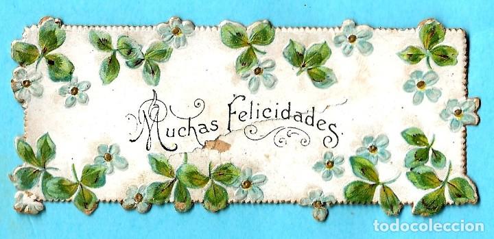 Etiquetas antiguas: TARJETA LITOGR&Aacute;FICA GOFRADA CON FLORES, S/F.
