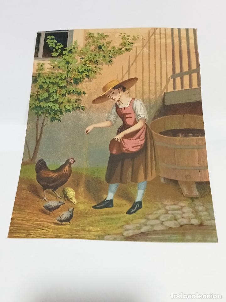 Alte Etiketten: ETIQUETA DE FRUTOS VINOS. A IDENTIFICAR. 16 X 21 CM. VER FOTOS