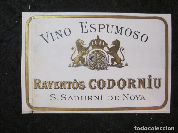 Etiquetas antiguas: SAN SADURNI DE NOYA-VINO ESPUMOSO RAVENTOS CODORNIU-ETIQUETA ANTIGUA-VER FOTOS-(90.962)