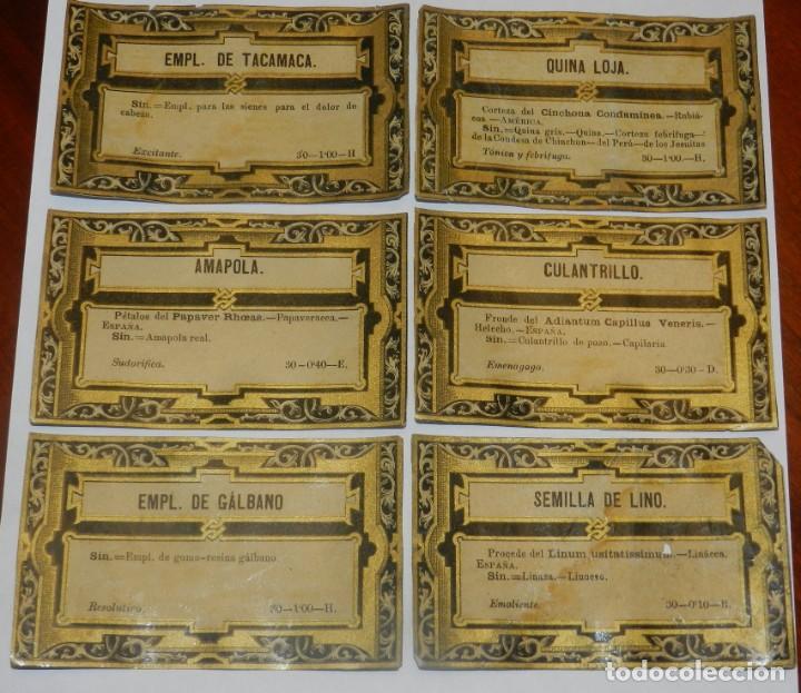 Etiquetas antiguas: 6 ETIQUETAS LITOGRAFIADAS DE FRASCOS DE FARMACIA, AMAPOLA, SEMILLAS DE LINO, CULANTRILLO, QUINA LOJA