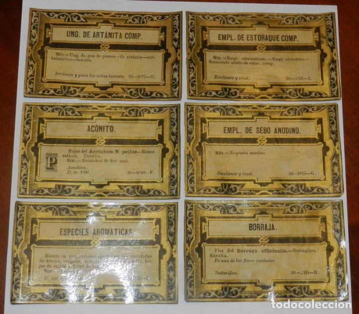 Old Labels: 6 ETIQUETAS LITOGRAFIADAS DE FRASCOS DE FARMACIA, BORRAJA, ACONITO, SEBO ANODINO, ETC..., MIDEN 8 X