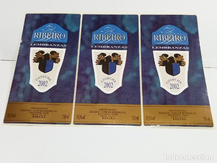 Etichette antiche: LOTE DE 3 ETIQUETA. PEGATINA. RIBEIRO LEMBRANZAS. COSECHA 2002. GALLEGA - LUSA BEBIDAS. 7 X 14 CM