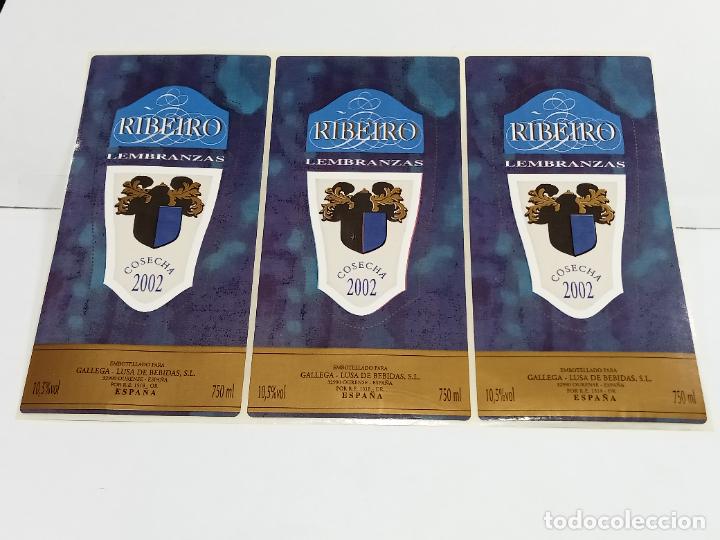 Etichette antiche: LOTE DE 3 ETIQUETA. PEGATINA. RIBEIRO LEMBRANZAS. COSECHA 2002. GALLEGA - LUSA BEBIDAS. 7 X 14 CM