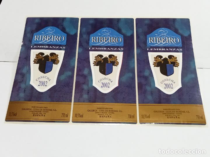 Etichette antiche: LOTE DE 3 ETIQUETA. PEGATINA. RIBEIRO LEMBRANZAS. COSECHA 2002. GALLEGA - LUSA BEBIDAS. 7 X 14 CM