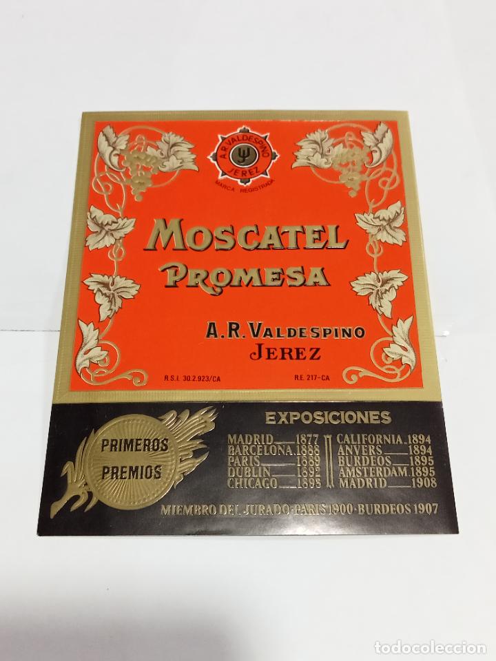 Etichette antiche: ETIQUETA. VINO. MOSCATEL PROMESA. A.R.VALDESPINO. JEREZ DE LA FRONTERA. 10 X 13 CM