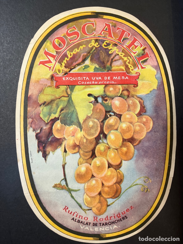 Etiquetas antiguas: ETIQUETA MOSCATEL RUFINO RODRIGUEZ. ALBALAT DE TARONCHERS. VALENCIA. AMBAR DE ESPA&Ntilde;A.