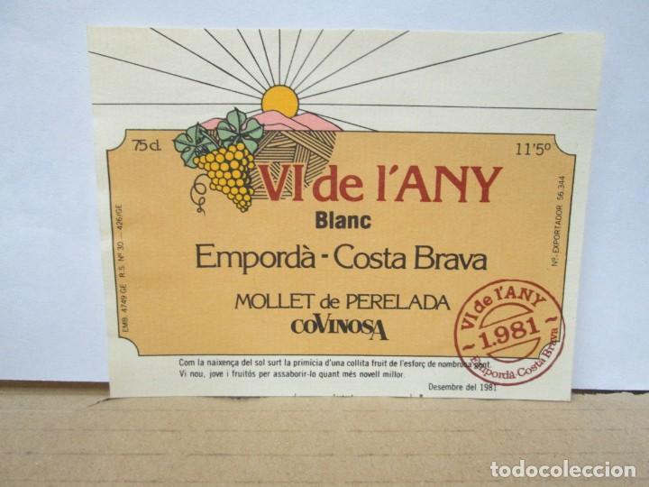 Etiquetas antiguas: ANTIGUA ETIQUETA, BLANC 1981 VI DE L'ANY