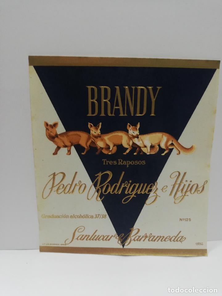 Etiquetas antiguas: ETIQUETA DE VINO. BRANDY. TRES RAPOSOS. PEDRO RODRIGUEZ E HIJOS. SANLUCAR DE BARRAMEDA.