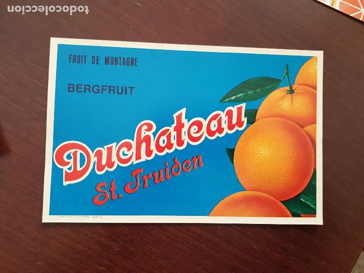 Etiquetas antiguas: NARANJAS 10 ETIQUETAS DUCHATEAU-BENJAMIN BELTRAN-VILLARREAL