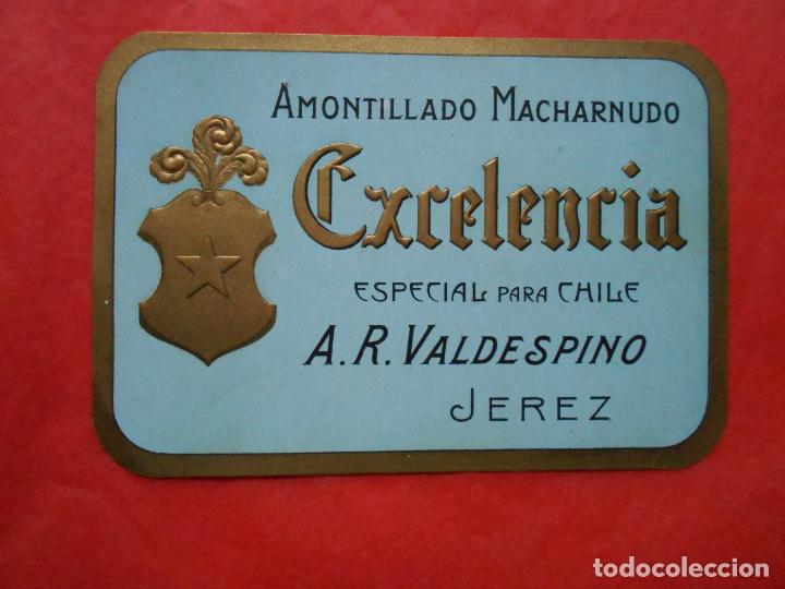 Etiquetas antiguas: ETIQUETA DE VINO A.R. VALDESPINO JEREZ AMONTILLADO EXCELENCIA