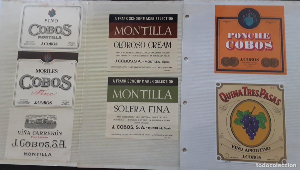 Alte Etiketten: Lote de 19 etiquetas de Bodegas J. COBOS, Montilla, C&oacute;rdoba