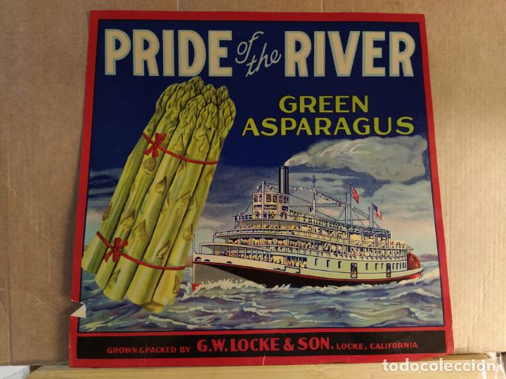 Etiquetas antiguas: ESPARRAGOS-PRIDE OF THE RIVER GREEN ASPARRAGUS-G.W.LOCKE & SON-ETIQUETA ANTIGUA-VER FOTOS-(V-24.527)