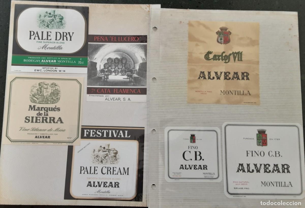Alte Etiketten: Lote de 14 etiquetas de Bodegas ALVEAR, MONTILLA, C&oacute;rdoba