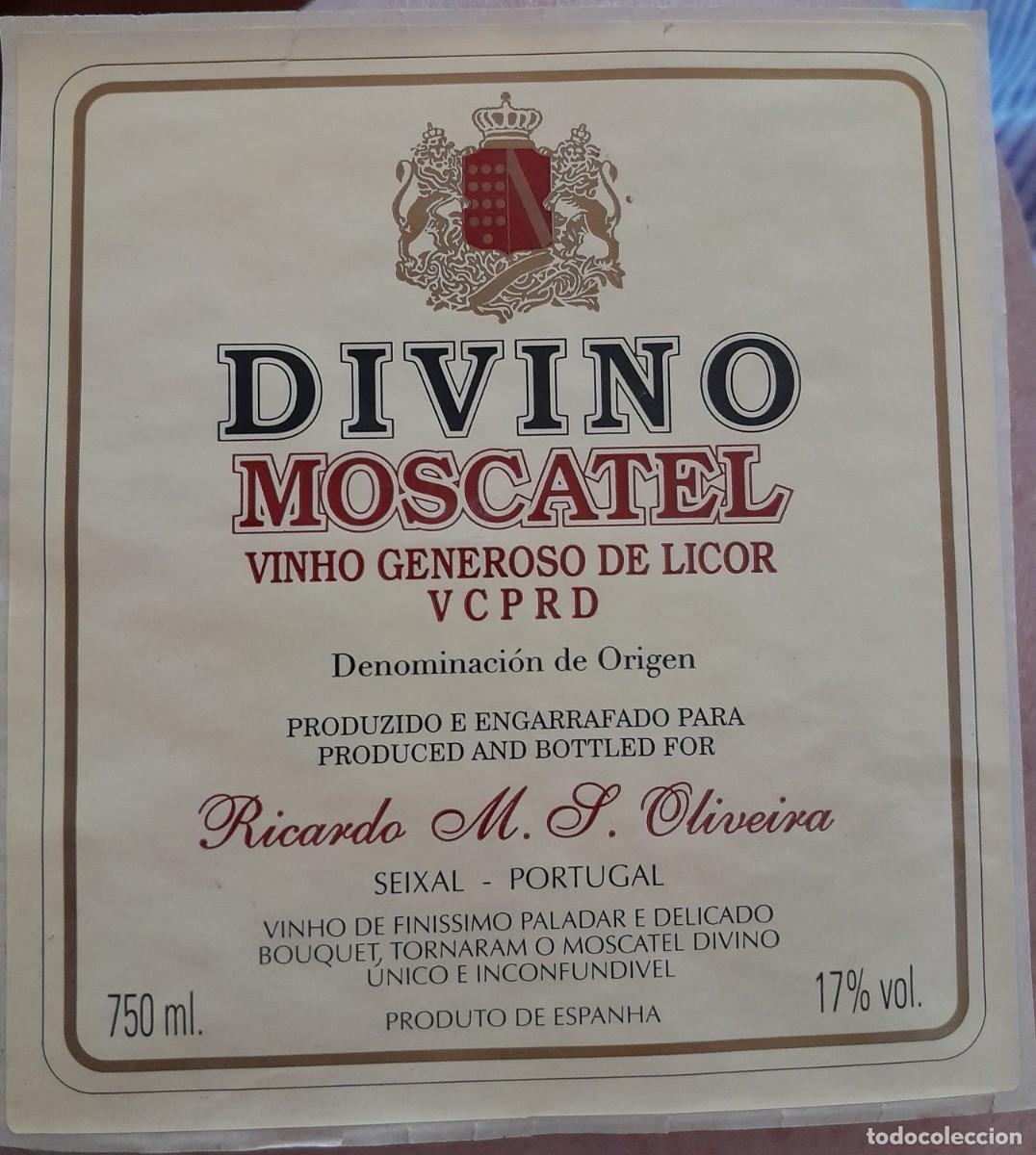 Etiquetas antiguas: -86195 ETIQUETA DIVINO MOSCATEL, VINO DE LICOR, RICARDO M. J. OLIVEIRA