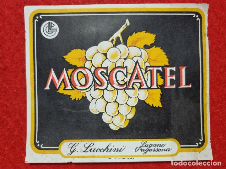 Old Labels: ANTIGUA ETIQUETA MOSCATEL G LUCCHINI LUGANO PREGASSONA ORIGINAL ER 491