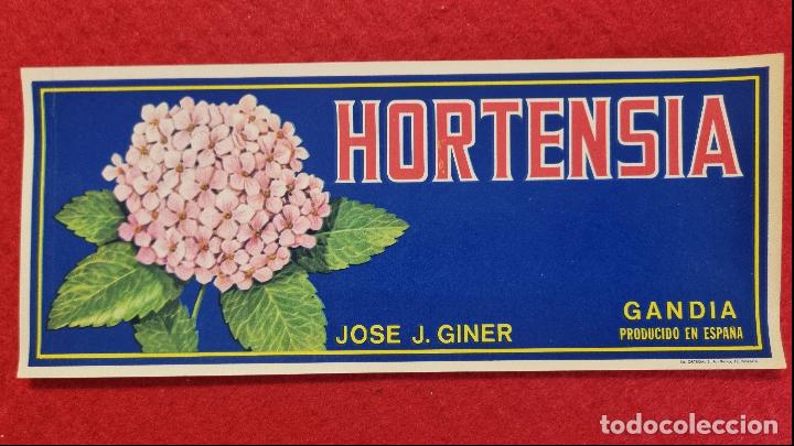 Etiquetas antiguas: CARTEL ITO ETIQUETA NARANJAS HORTENSIA JOSE GINER GANDIA VALENCIA ORIGINAL K14