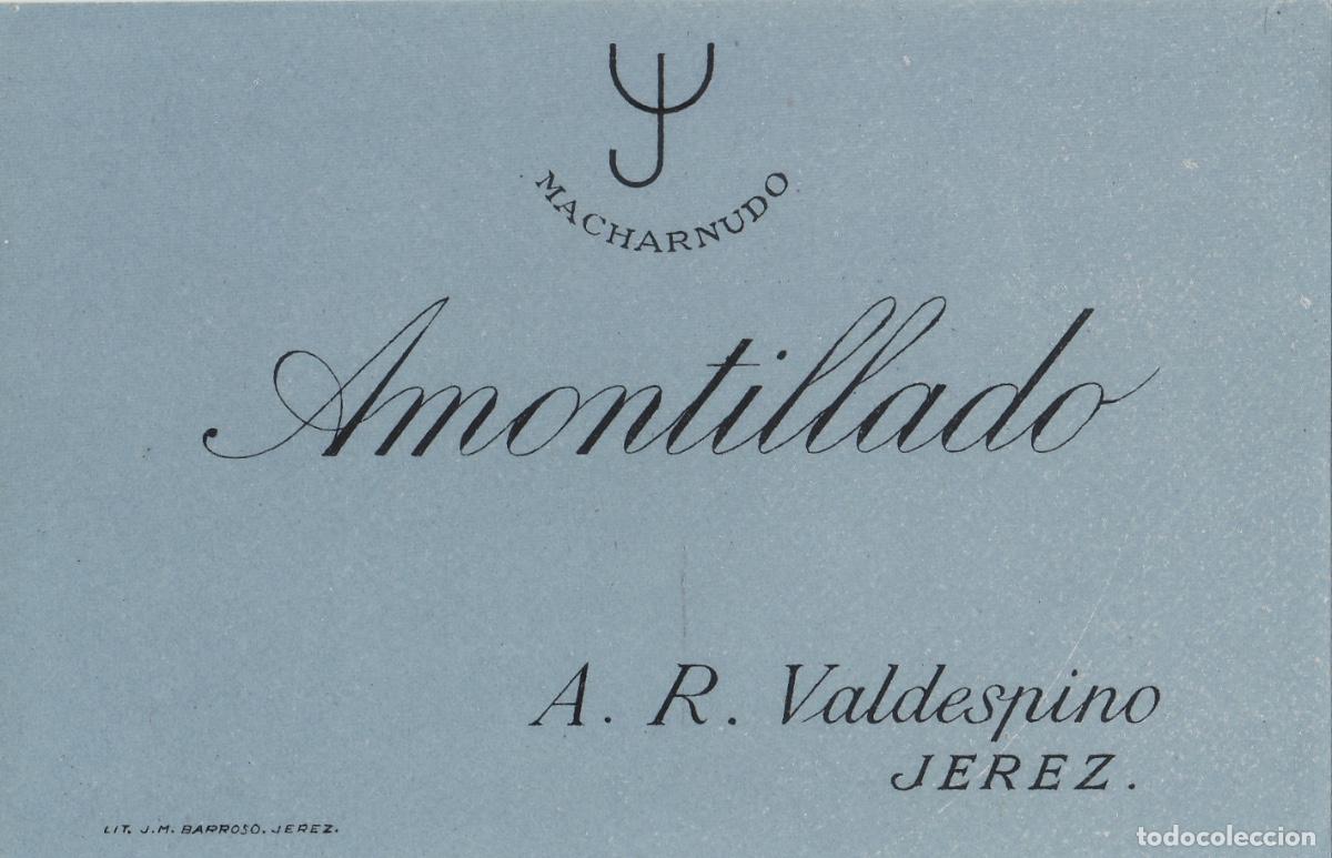 Etiquetas antiguas: VALDESPINO . JEREZ . MACHARNUDO AMONTILLADO , ETIQUETA DE VINO ref 187