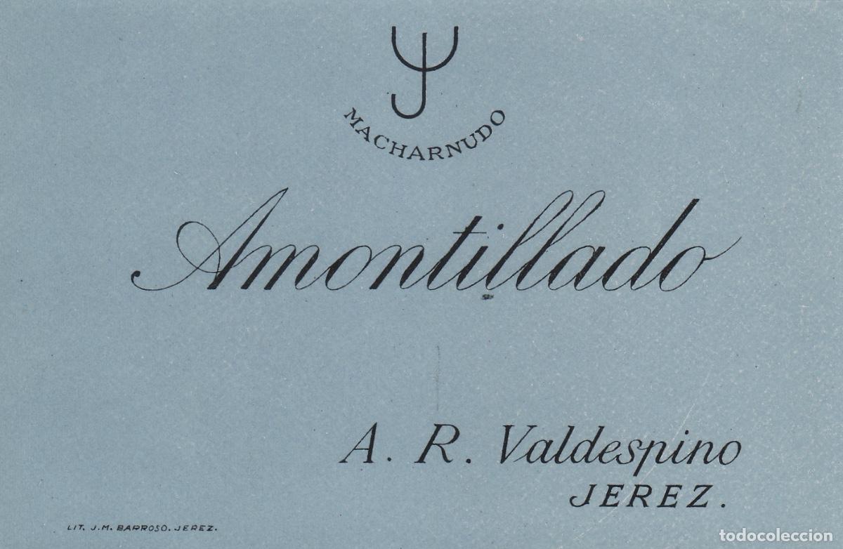 Etiquetas antiguas: VALDESPINO . JEREZ . MACHARNUDO AMONTILLADO , ETIQUETA DE VINO ref 187