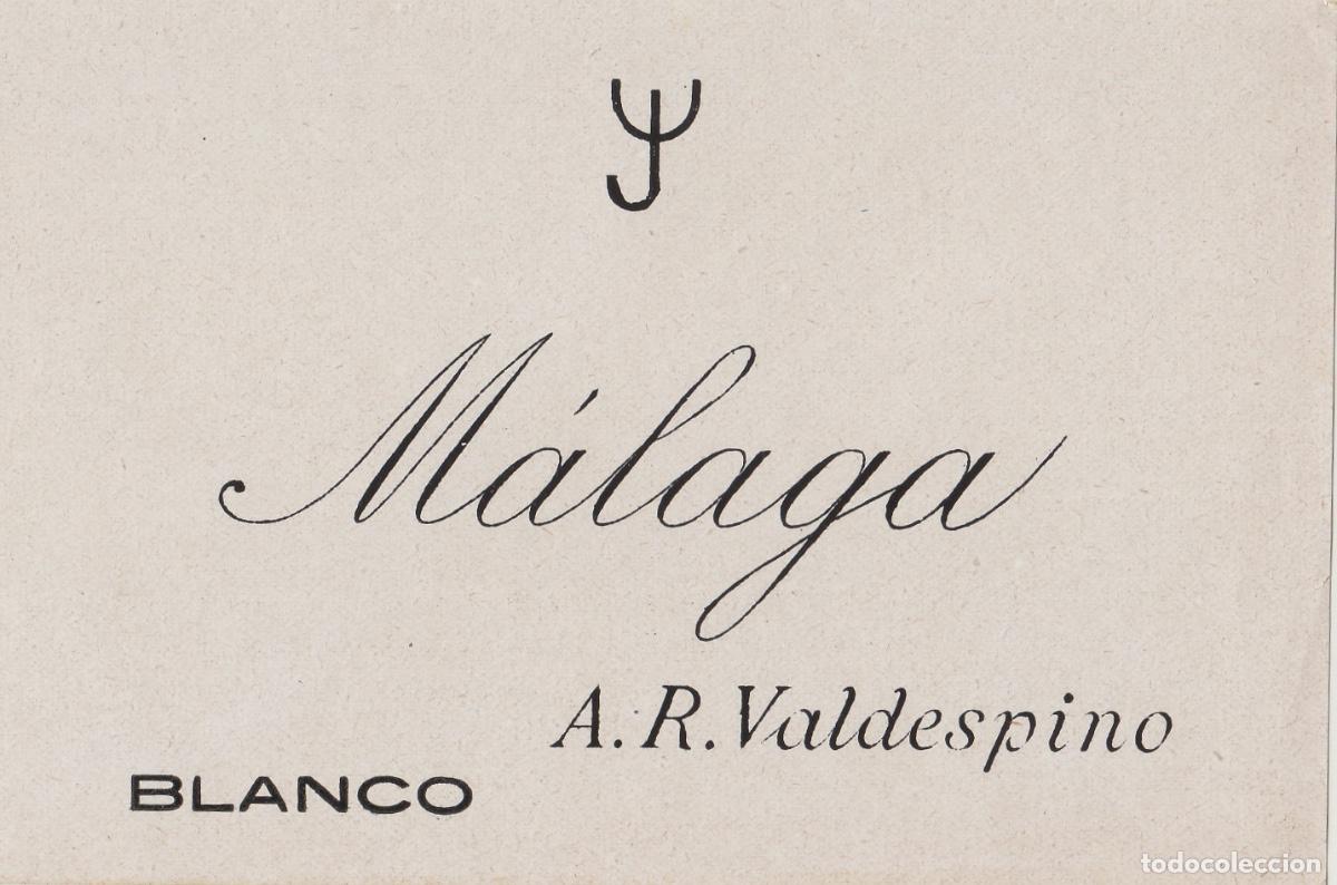 Etiquetas antiguas: VALDESPINO . JEREZ , M&Aacute;LAGA BLANCO , ETIQUETA DE VINO ref 204