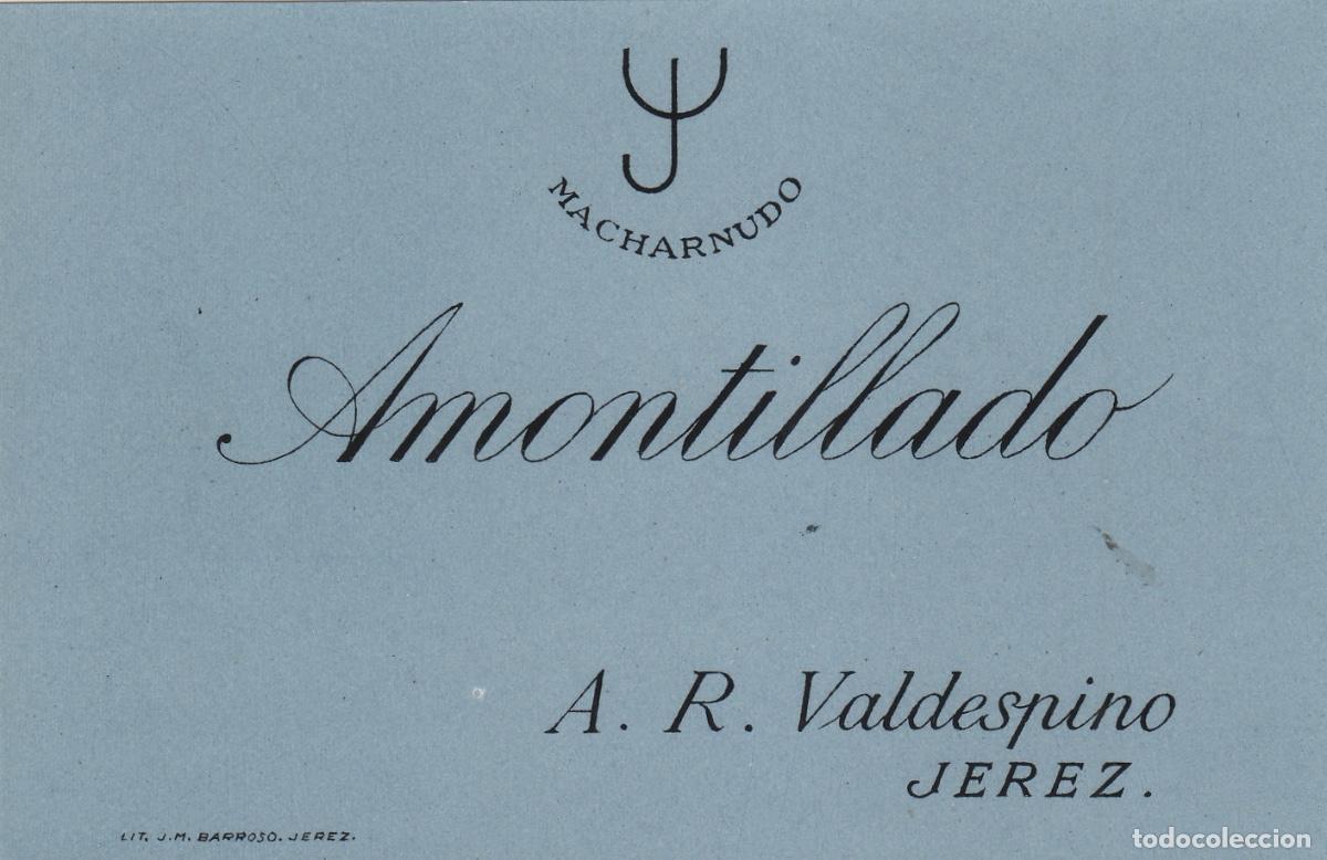 Etiquetas antiguas: VALDESPINO . JEREZ , AMONTILLADO , ETIQUETA DE VINO ref 208