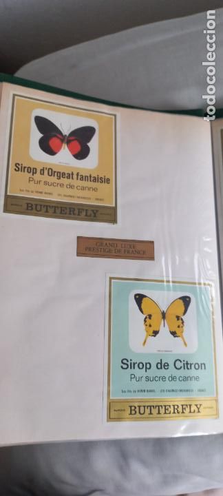Etiquetas antiguas: BUTTERFLY. PUR SUCRE DE CANNE. SIROP DE CITRON-D'ORGEAT FANTAISIE FRANCIA MARIPOSAS ETIQUETA DE VINO