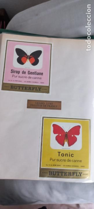 Etiquetas antiguas: BUTTERFLY. PUR SUCRE DE CANNE. SIROP DE GENTIANE-TONIC. FRANCIA MARIPOSAS ETIQUETA DE VINO
