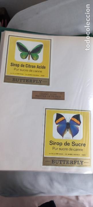 Etiquetas antiguas: BUTTERFLY. PUR SUCRE DE CANNE. SIROP DE CITRON ACIDE-SUCRE. FRANCIA MARIPOSAS ETIQUETA DE VINO