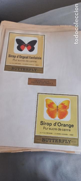 Etiquetas antiguas: BUTTERFLY. PUR SUCRE DE CANNE. SIROP DE D'ORANGE-D'ORGEAT FRANCIA MARIPOSAS ETIQUETA DE VINO