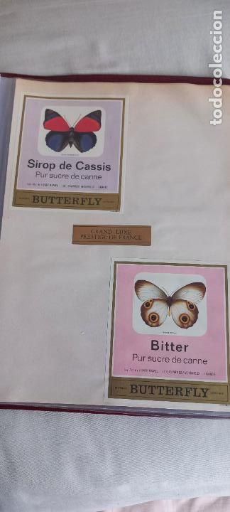 Etiquetas antiguas: BUTTERFLY. PUR SUCRE DE CANNE. SIROP DE CASSIS - BITTER. FRANCIA MARIPOSAS ETIQUETA DE VINO