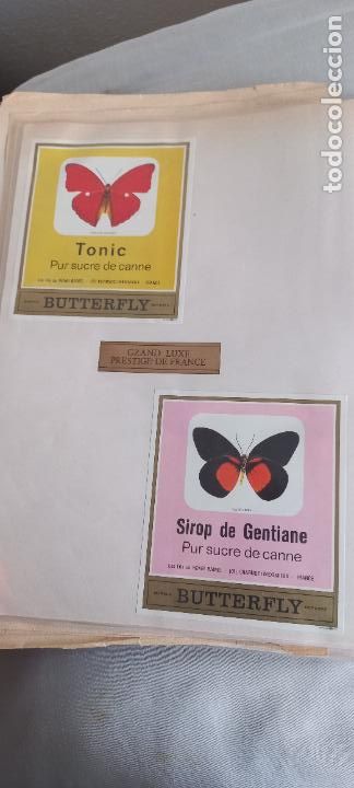 Etiquetas antiguas: BUTTERFLY. PUR SUCRE DE CANNE. SIROP DE GENTIANE-TONIC. FRANCIA MARIPOSAS ETIQUETA DE VINO