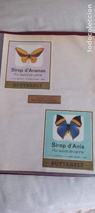 Etiquetas antiguas: BUTTERFLY. PUR SUCRE DE CANNE. SIROP D' ANANAS - D' ANIS. FRANCIA MARIPOSAS ETIQUETA DE VINO