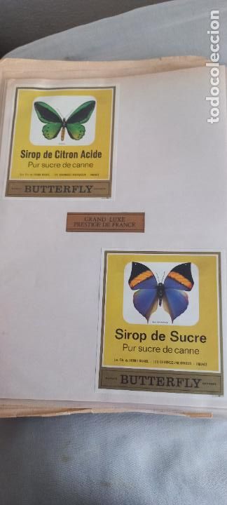 Etiquetas antiguas: BUTTERFLY. PUR SUCRE DE CANNE. SIROP DE SUCRE - CITRON ACIDE. FRANCIA MARIPOSAS ETIQUETA DE VINO