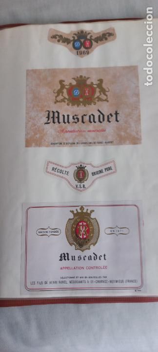 Etiquetas antiguas: MUSCADET LES FILS DE HENRI RAMEL.. FRANCE. ETIQUETAS DE VINO.
