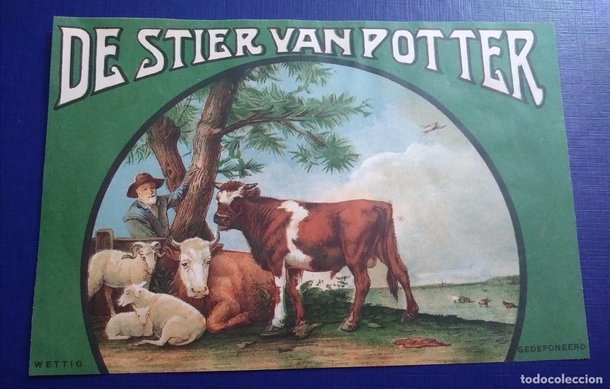 Old Labels: Etiqueta DE STIER VAN POTTER - TABACO