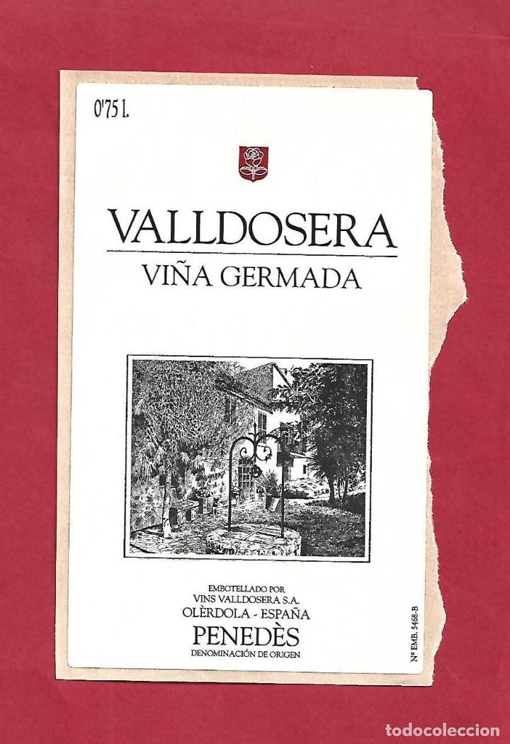 Etiquetas antiguas: VALLDOSERA OLERDOLA PENEDES - VINO - ETIQUETA ORIGINAL