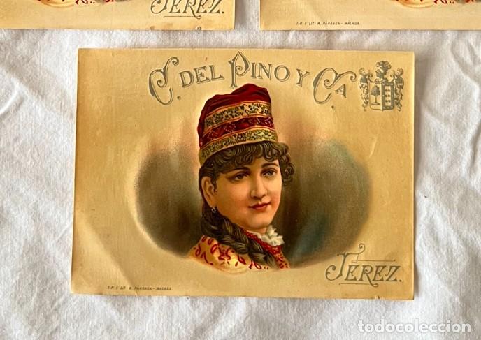 Etiquetas antiguas: 5 Etiquetas antiguas de vino Cayetano del Pino y Compa&ntilde;&iacute;a