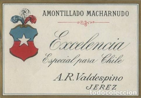 Etiquetas antiguas: ETIQUETA VINO AMONTILLADO MACHARNUDO. EXCELENCIA. ESPECIAL PARA CHILE. A.R. VALDESPINO JEREZ. ET-366