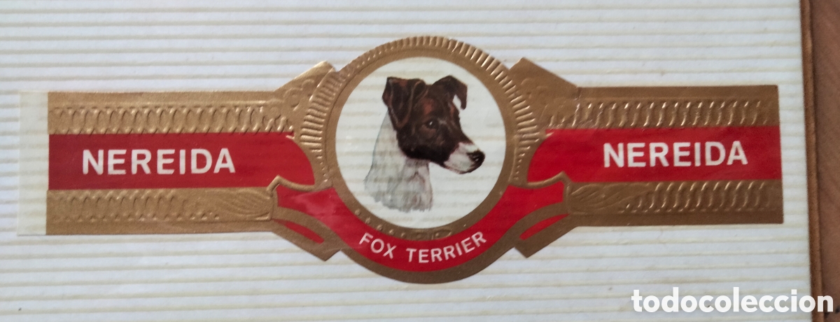 Etiquetas antiguas: Vitola Nereida coleccion Perros - Foto 4
