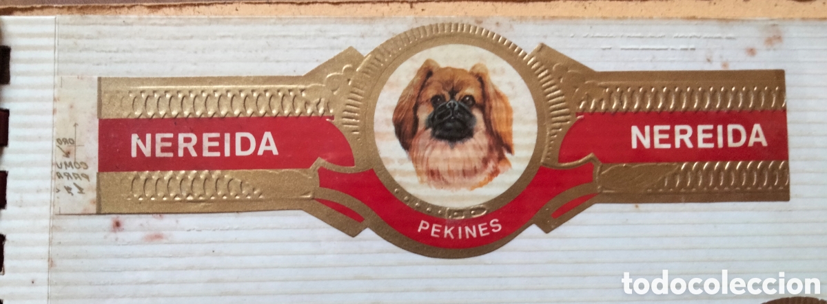 Etiquetas antiguas: Vitola Nereida coleccion Perros - Foto 5