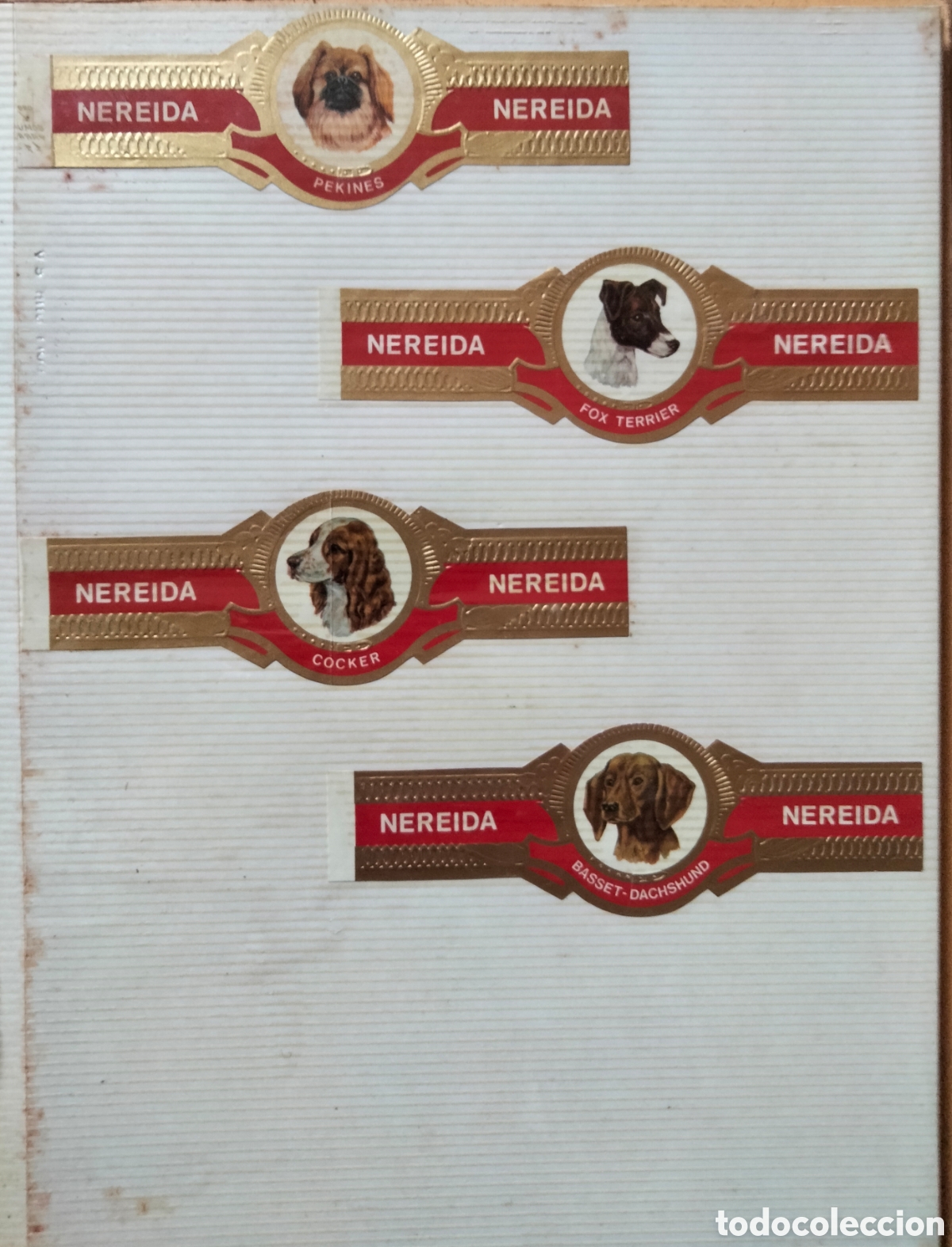 Etiquetas antiguas: Vitola Nereida coleccion Perros - Foto 1