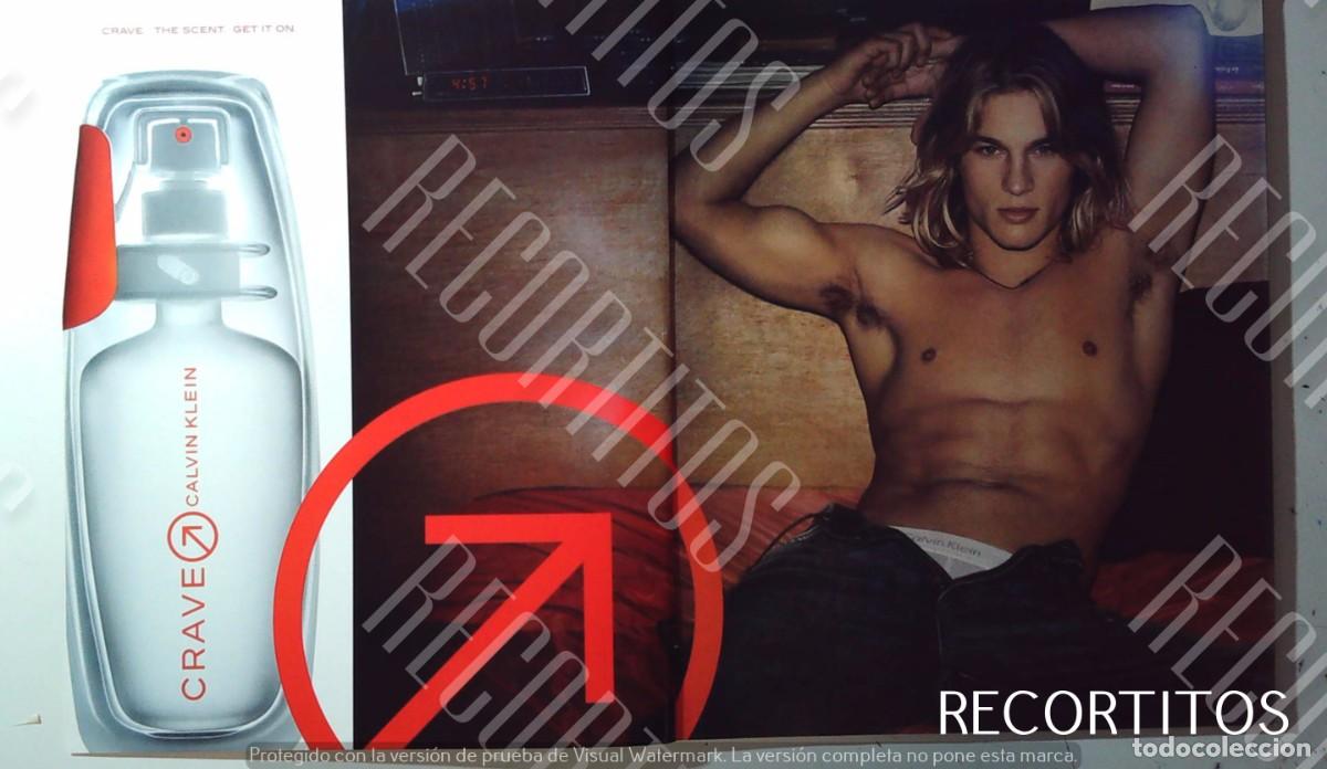 Etichette antiche: CALVIN KLEIN CRAVE ANUNCIO PUBLICIDAD