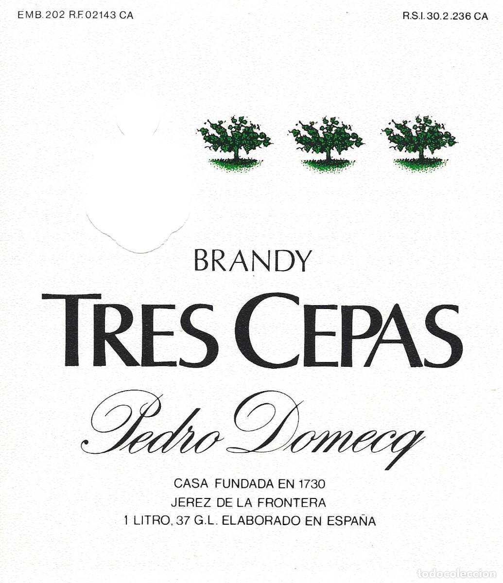 Etiquetas antiguas: E293 BODEGAS PEDRO DOMECQ-BRANDY TRES CEPAS - Foto 1
