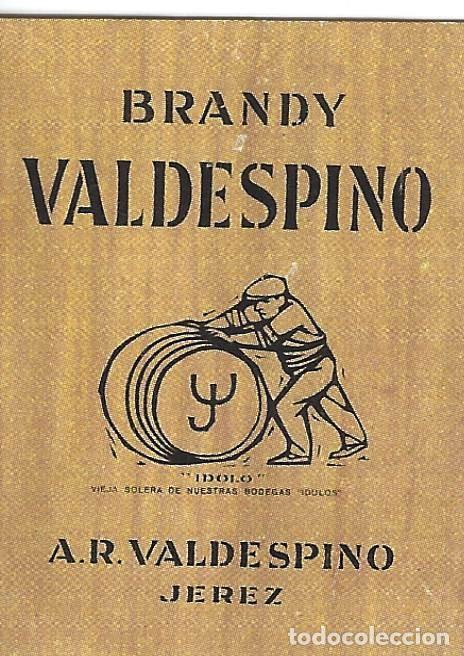 Etiquetas antiguas: E425 BODEGAS A. R. VALDESPINO-BRANDY VALDESPINO - Foto 1