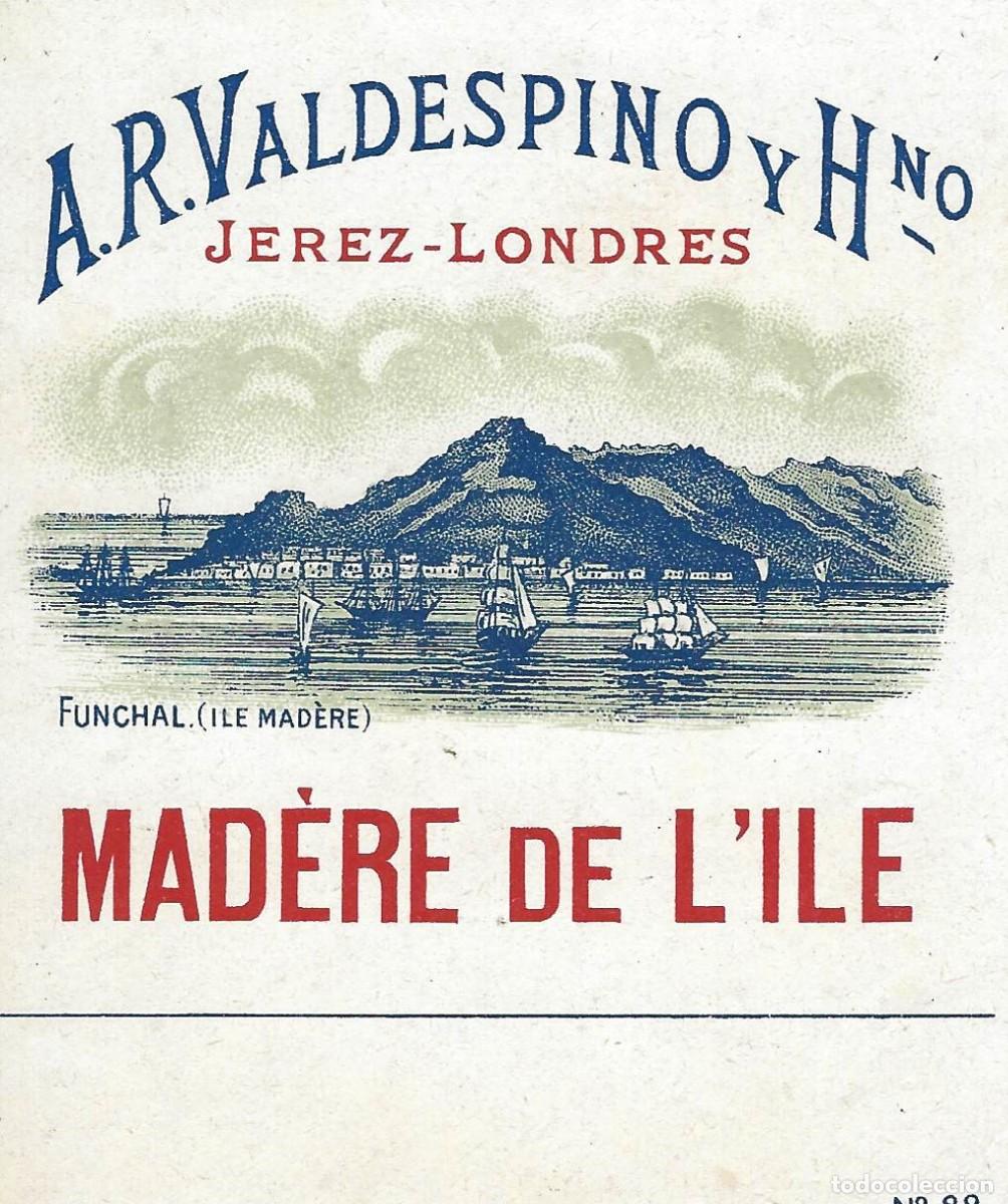 Etiquetas antiguas: E455 BODEGAS A. R. VALDESPINO - Foto 1