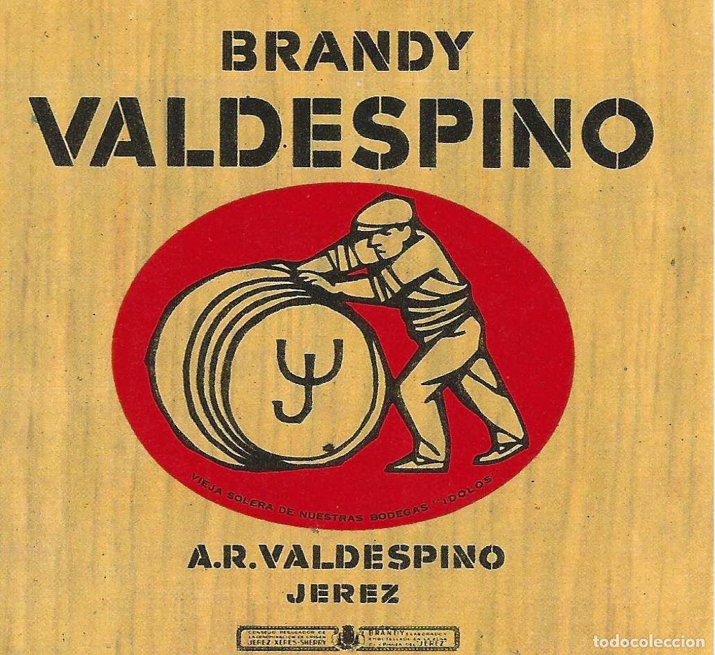 Etiquetas antiguas: E464 BODEGAS A. R. VALDESPINO-BRANDY VALDESPINO - Foto 1