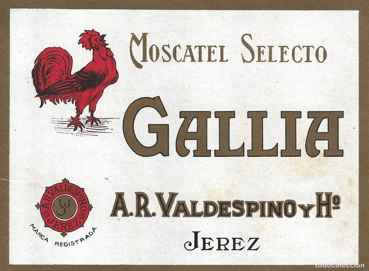 Etiquetas antiguas: E482 BODEGAS A. R. VALDESPINO-MOSCATEL GALLIA - Foto 1