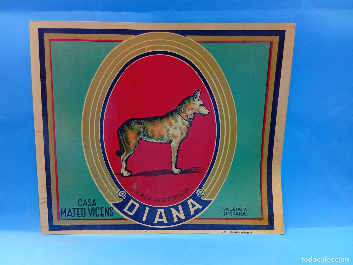 Etiquetas antiguas: ETIQUETA. NARANJAS. DIANA. CASA MATEO VICENS. VALENCIA. ORIGINAL. VER.